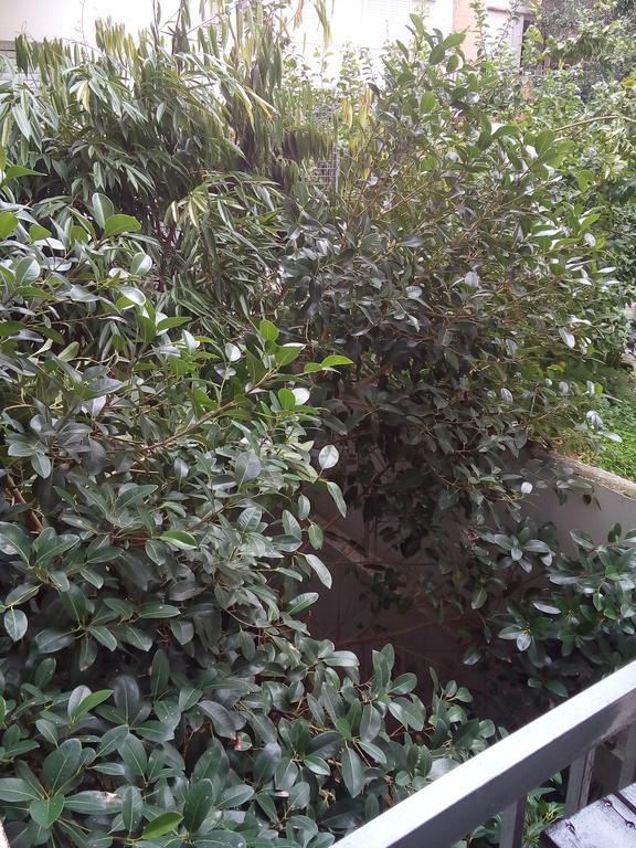Sweet Home Corinth المظهر الخارجي الصورة